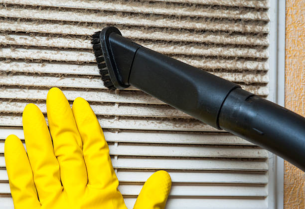 Best Air Duct Mold Removal  in North Lakeville, MA